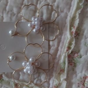 Fashion earrings nwot